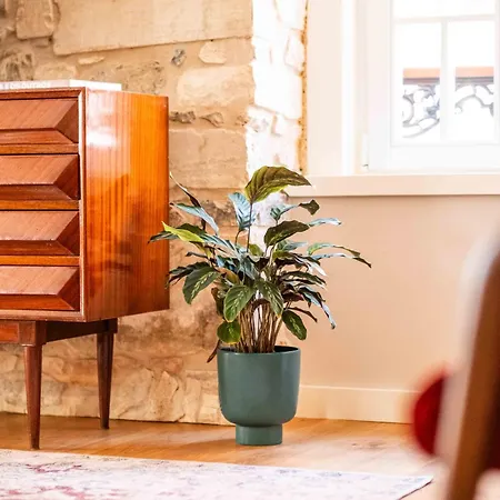 Casa Tertulias בית הארחה לייריה